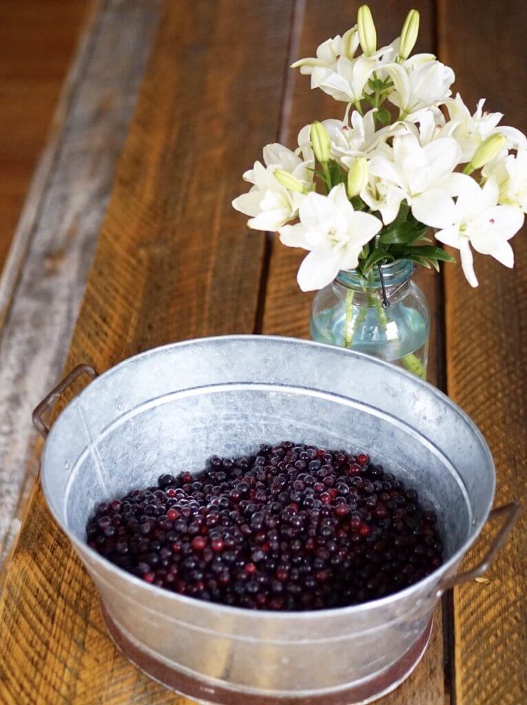 Saskatoon Berries in a galvanized bowl