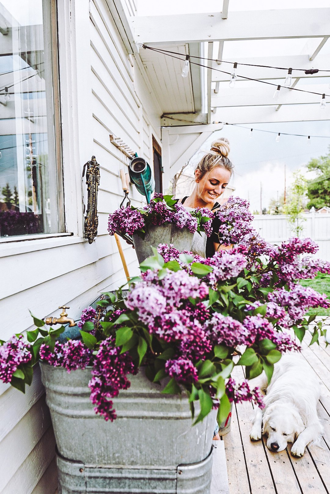 galvanized sink wash tub full of lilacs with a girl and a dog
