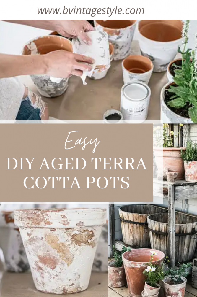 DIY Mini Terracotta Clay Seedling Dishes - DIY Beautify - Creating