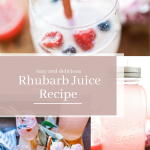 Rhubarb Juice Recipe