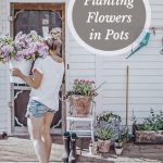 planting flowers in pots
