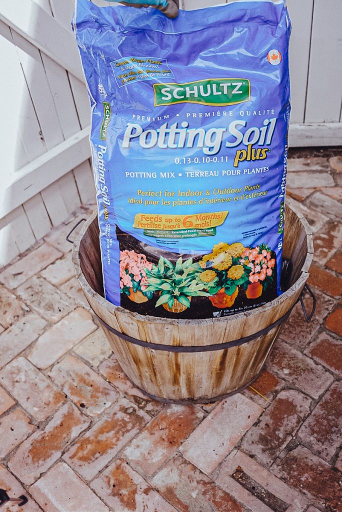 premixed potting soil for planting flowers in pots