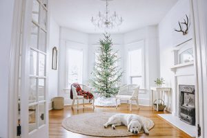 living room with two sitting chairs in front of a beautiful Spruce Scandinavian Christmas tree with minimal decorations