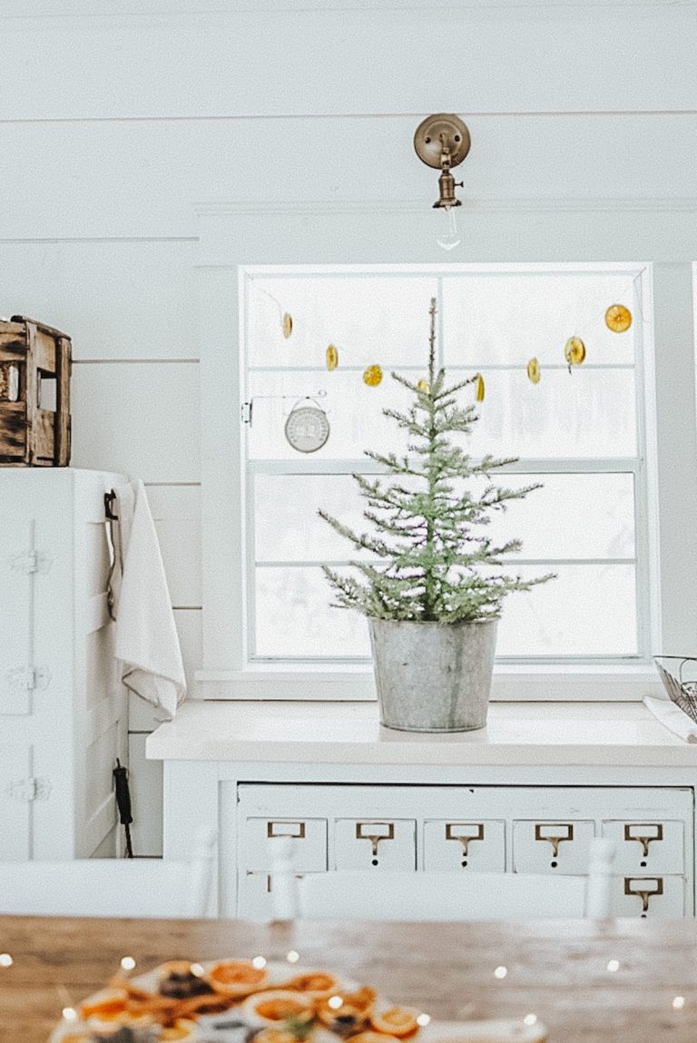 tiny natural christmas tree on a counter with dried orange garland in the window