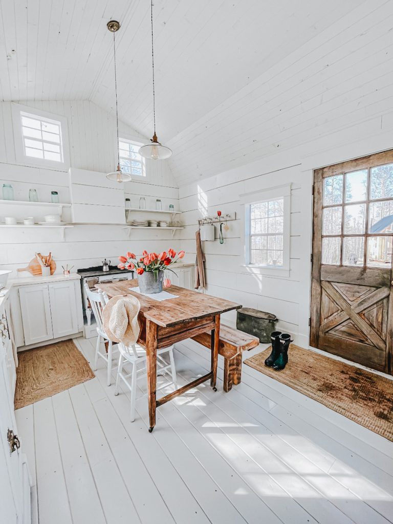 Tiny house kitchen and front door view with open shelves and painted floors.