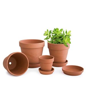 Diy Aged Terra Cotta Pots 