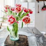 double flowering tulips arranged in a vase in a white kitchen