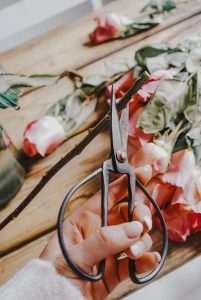 cutting roses with a sharp knife