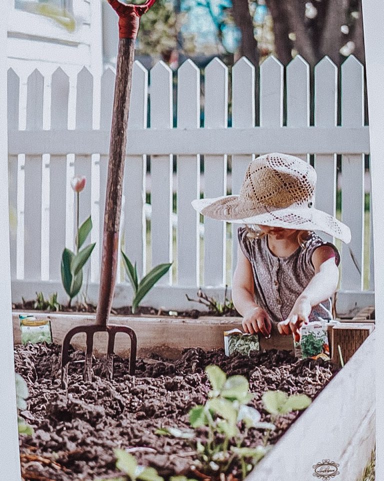 Starting a Garden: Tips for Beginners