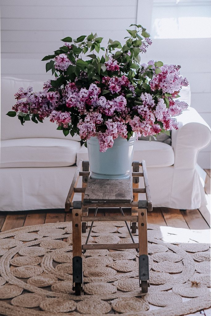 a beautiful lilac arrangement on a coffee table
