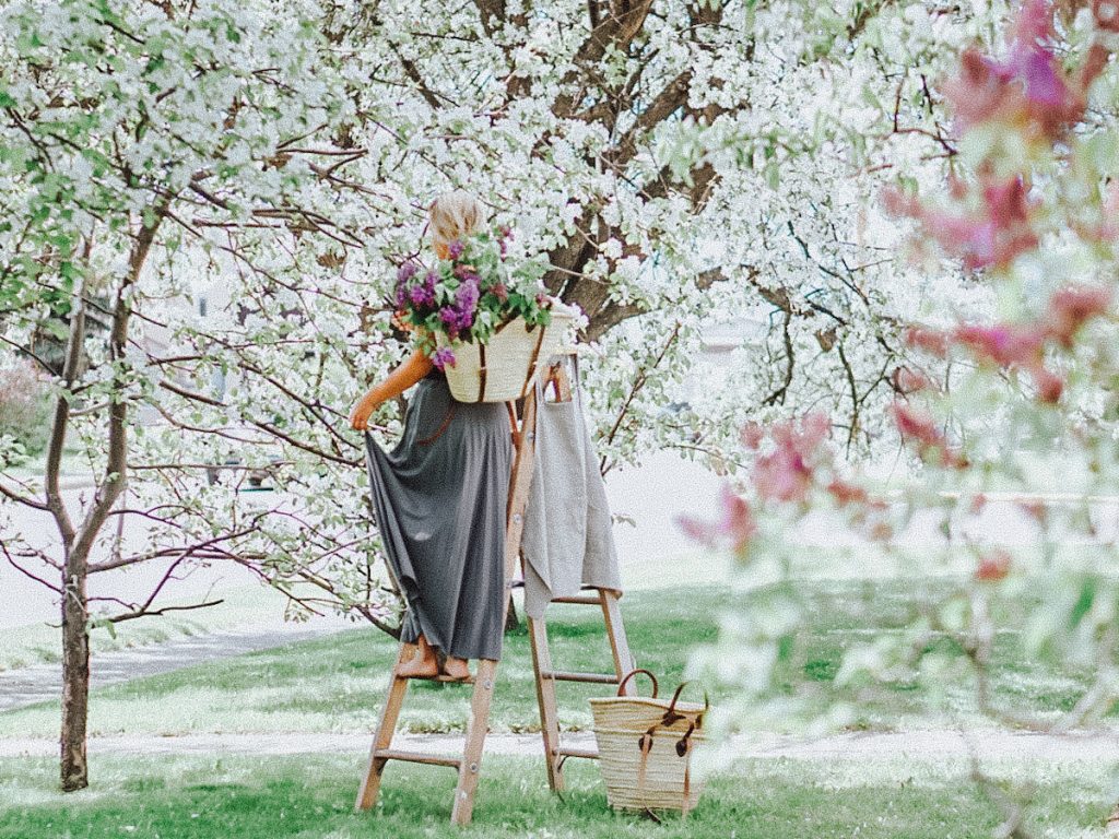 girl harvesting lilacs to make a lilac arrangement and bouquet