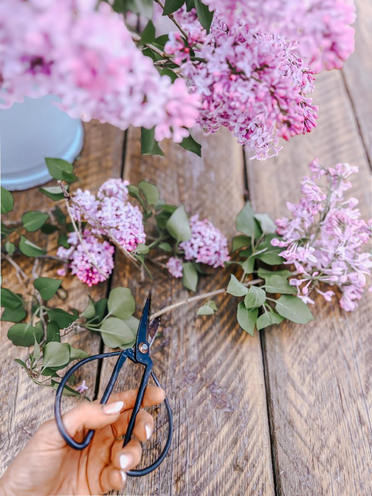 cutting the stem of a lilac at a 45 degree angle
