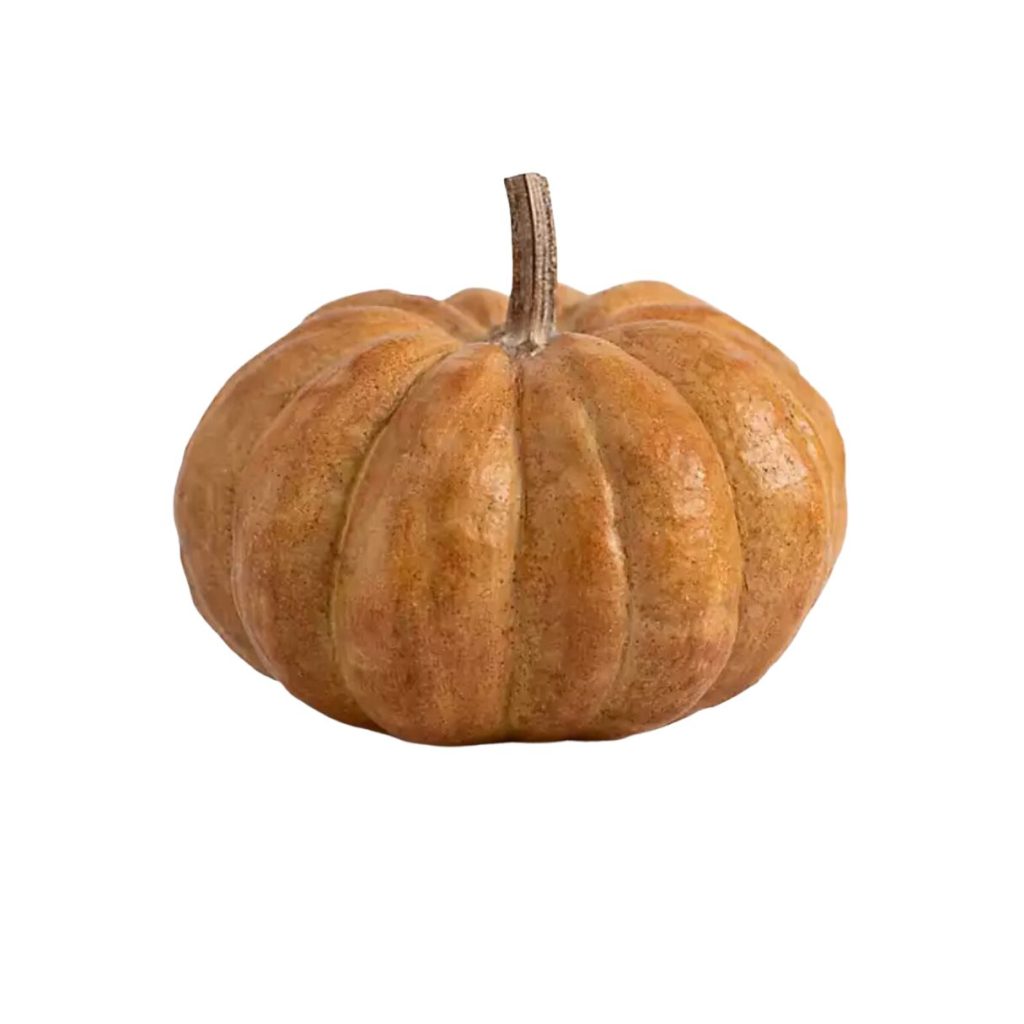 realistic orange pumpkin.