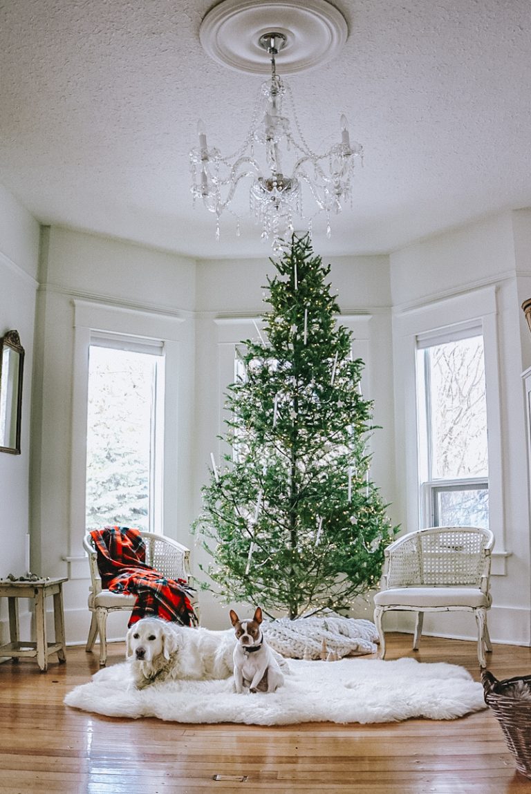 A beautiful Douglas fir Christmas tree decorated for a cozy holiday aesthetic with vintage ornaments and candles on the tree.