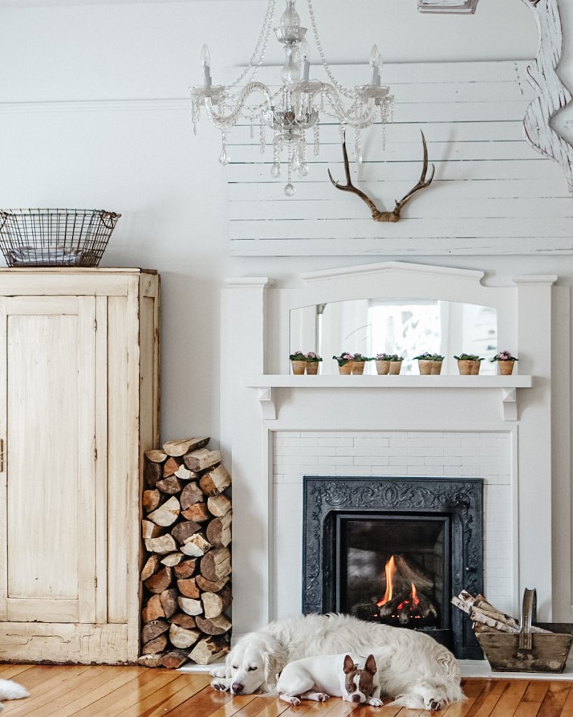 A living room styled with Hygge style. A fireplace with wood stacked beside it and two dogs laying in front of it.