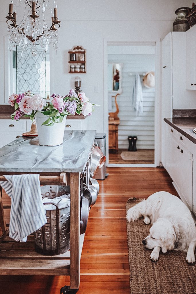 A beautiful Scandinavian farmhouse style kitchen that has a dog in front of the sink and a kitchen island with a galvanized metal top.