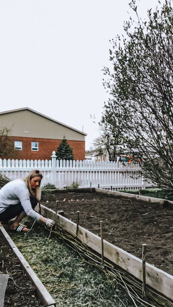 Weaving a wattle fence around a garden bed.