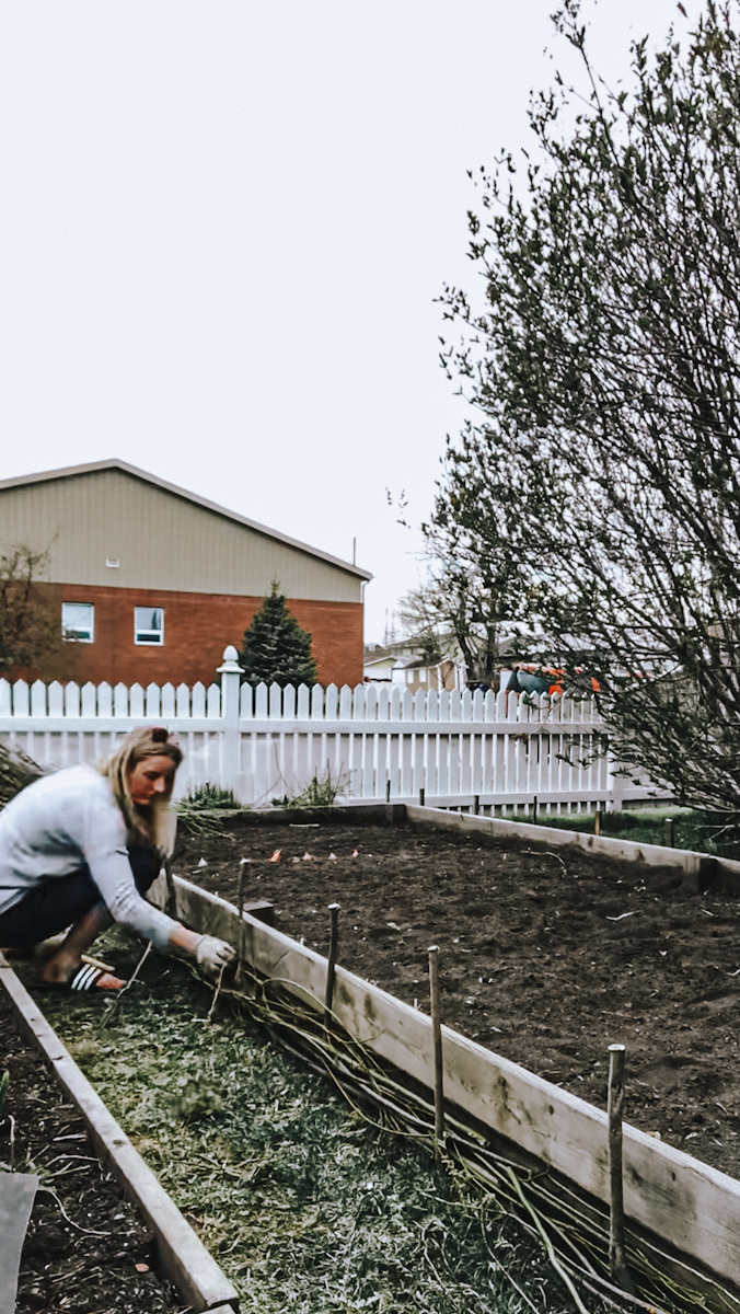 How To Make Wattle Fence Woven Garden Beds | B Vintage Style