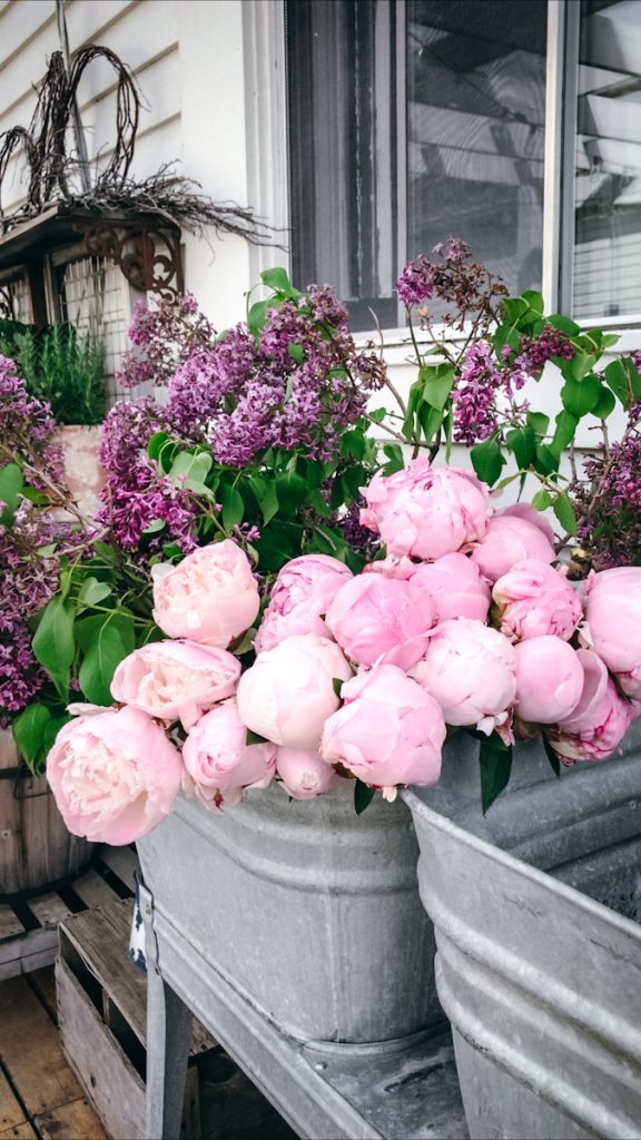 A large galvanized sink full of lilacs and peonies.