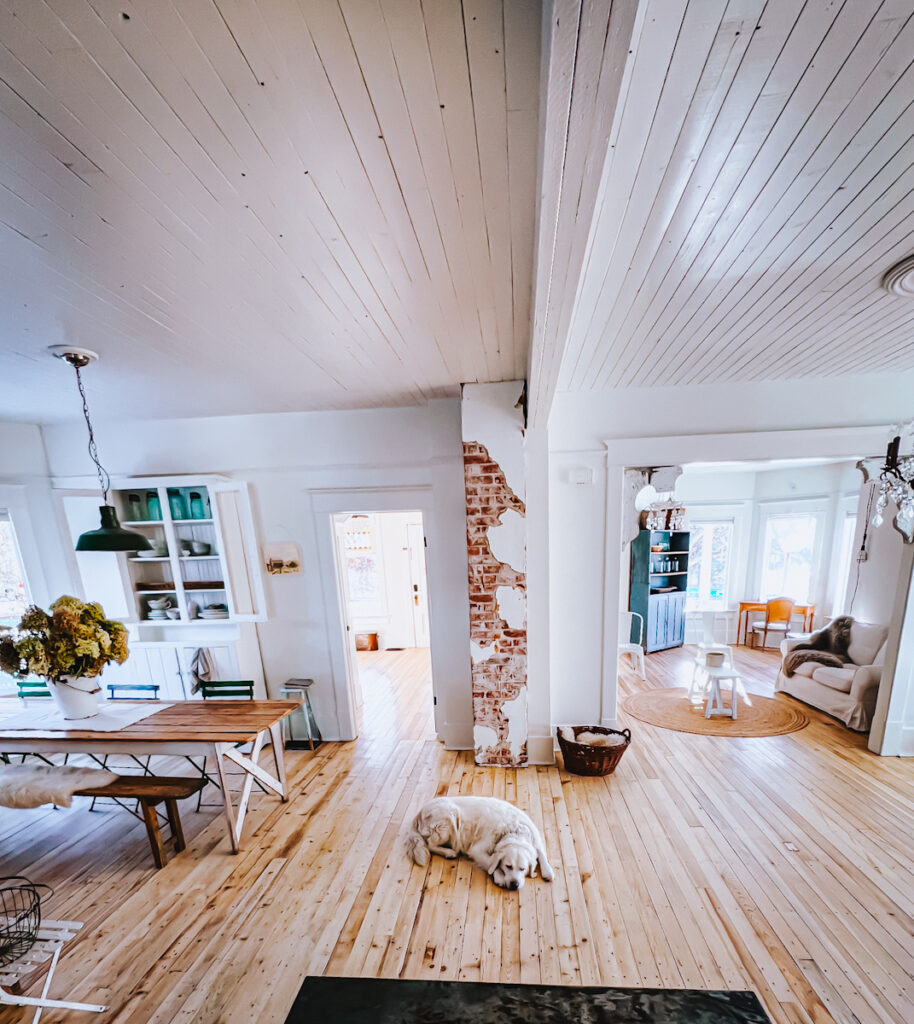 View of an open concept family room and dining room space from a Scandinavian kitchen.