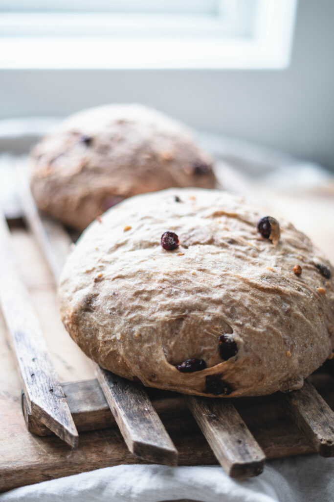 Two loaves of Cranberry walnut bread that has just come out of the Dutch oven.