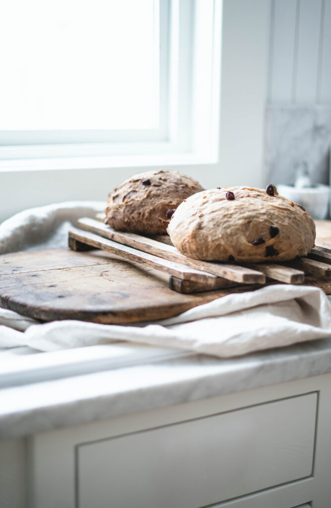 Two loaves of cranberry walnut bread, one whole wheat and one made with bread flour, on the counter.