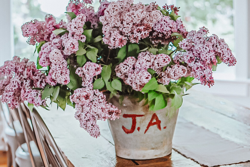 A large bucket of lilacs arranged on a dining room table.