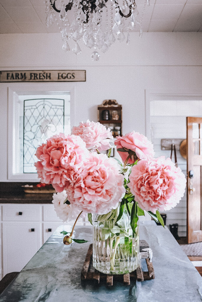 Peonies displayed in a large clear vase on a kitchen island.