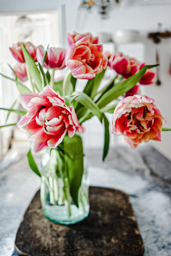 Pink and white double flowering tulips arranged in a mason jar.